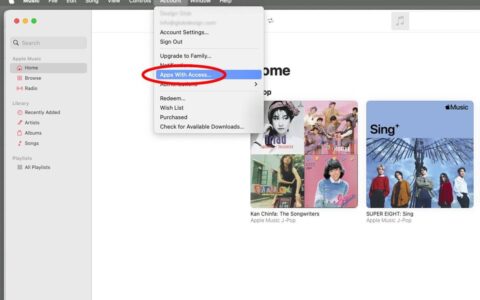 如何在 macos 中授予第三方应用程序 apple music 访问权限
