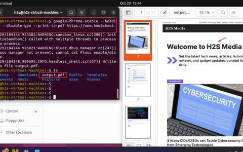 如何在 ubuntu 上安装和使用 chrome headless？