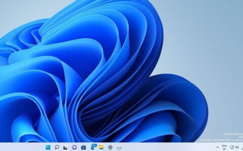 更多用户报告在不受支持的设备和受支持的设备上看到 windows 11 水印