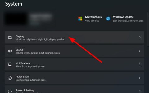 这是在 windows 11 中检查显卡的方法