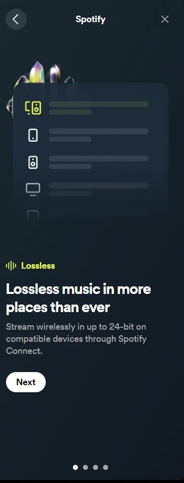 spotify-lossless-5