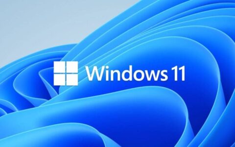 微软发布 windows 11 insider build 22000.65，其中包含多项改进和修复