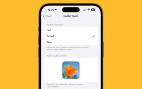 ios 17：如何在iphone上使触觉触摸更快